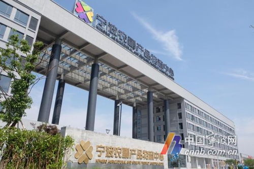 農批新地標，一站式采購！寧波農副產品物流中心開啟試運營